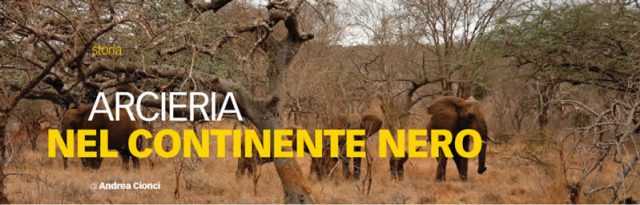 arcieri_6_2016_web_300_25_0001