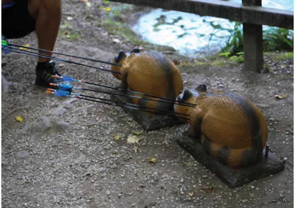 arcieri_5_2017_web_300_24_0005