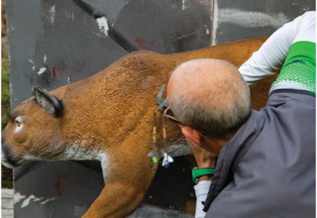 arcieri_5_18_web_300_24_0004